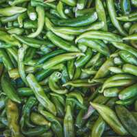 Read The Fresh Chile Company Reviews